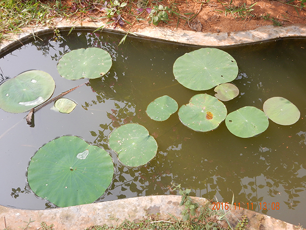 Departmental Field Visit