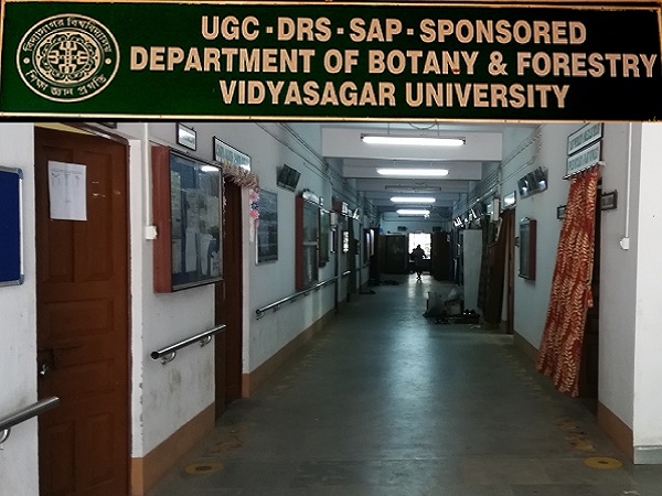 Department of Botany and Forestry