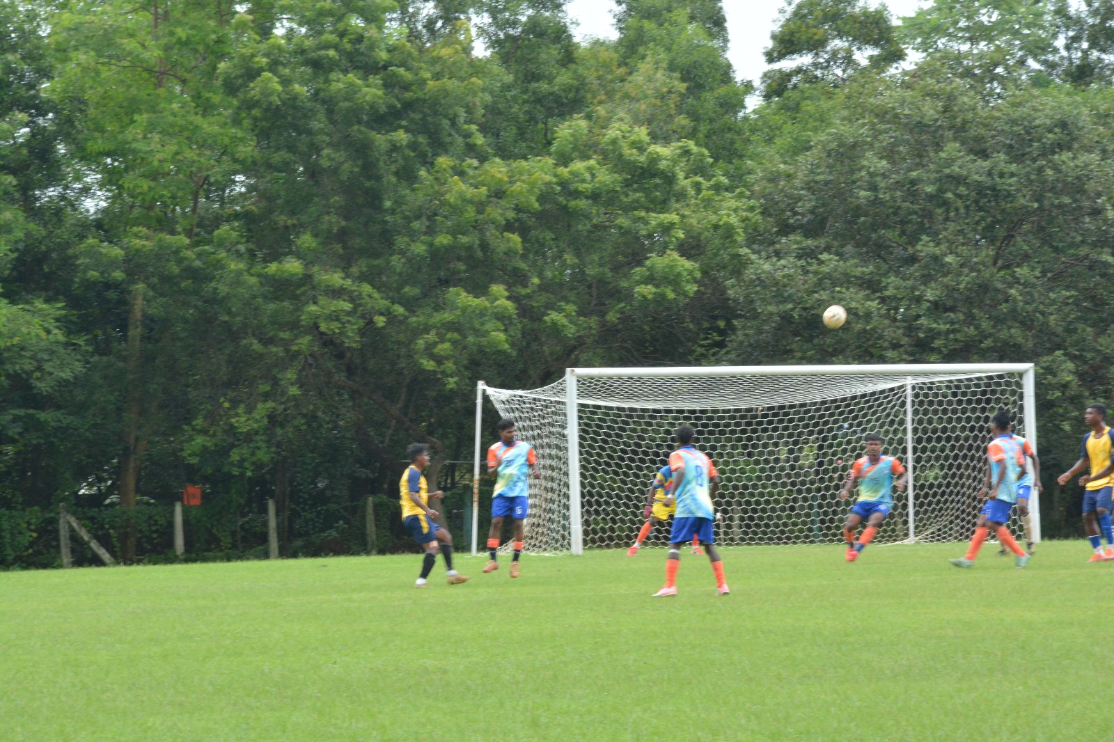Image (12)